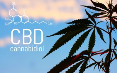 How to Properly & Effectively Dose CBD
