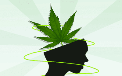 Is Cannabis a Panacea for Fear?