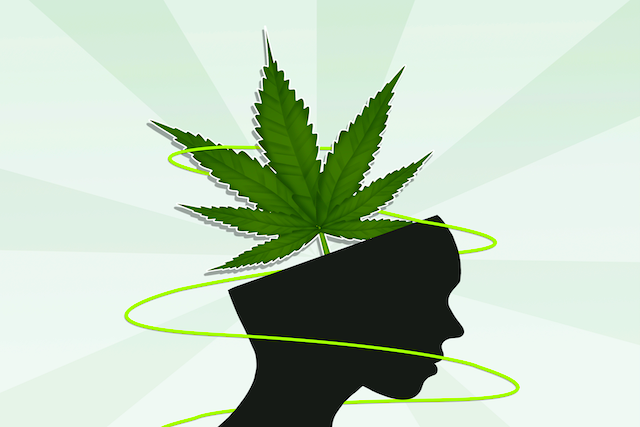 Marijuana