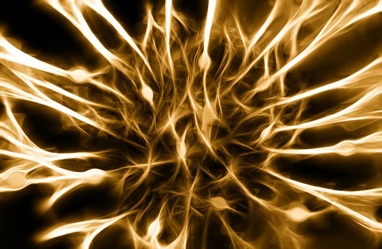 Nerve picture